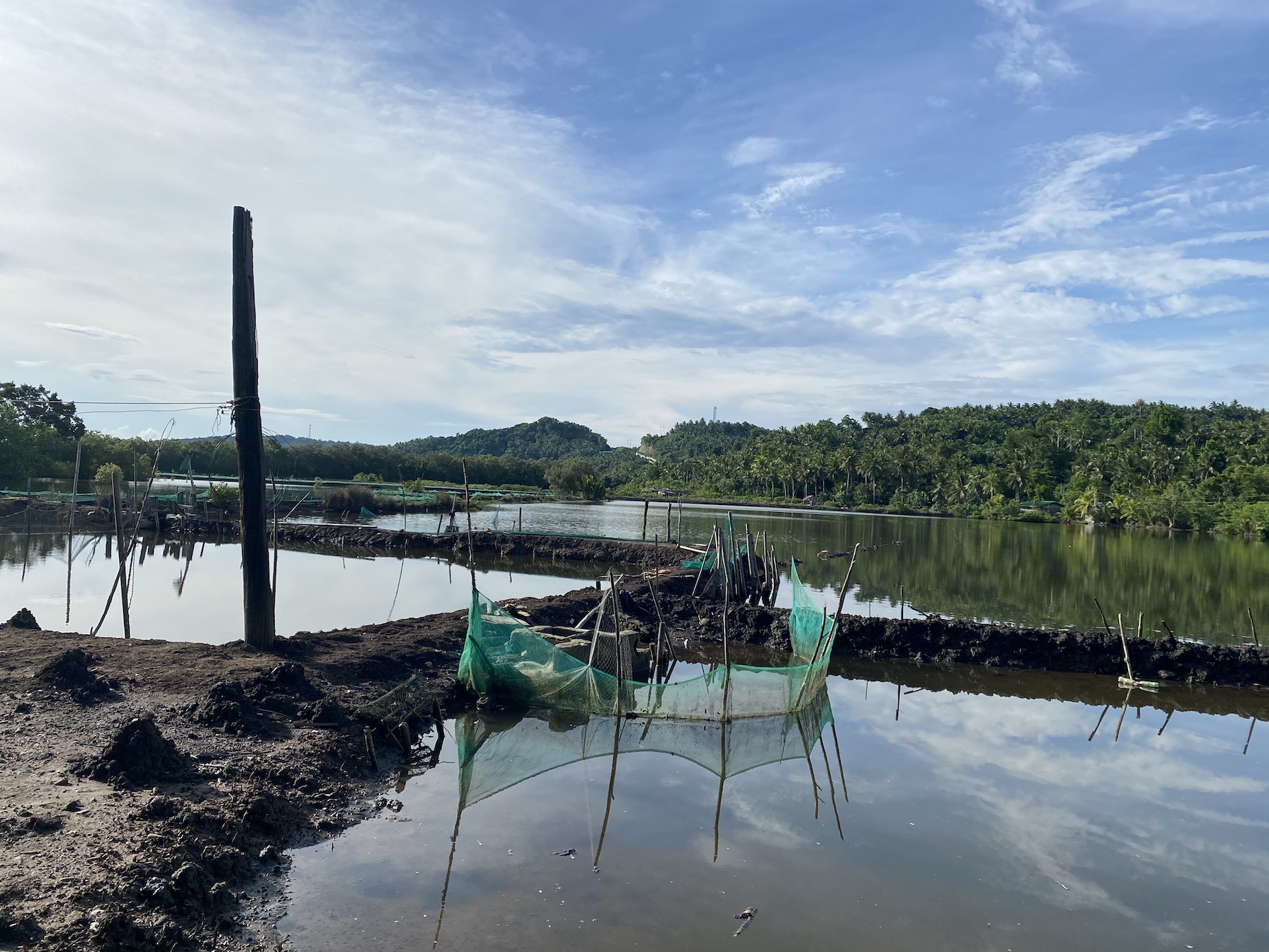 A view of Lolo Aldo's fishpond at Sta. Teresa, Lopez, Quezon A fishpond at Lopez, Quezon